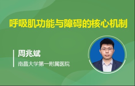 呼吸肌功能与障碍的核心机制