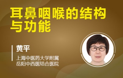 第二章耳鼻咽喉的结构与功能