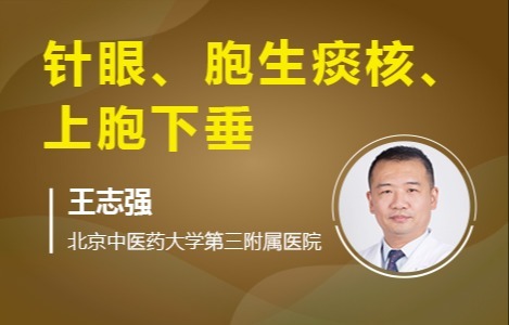 针眼、胞生痰核、上胞下垂